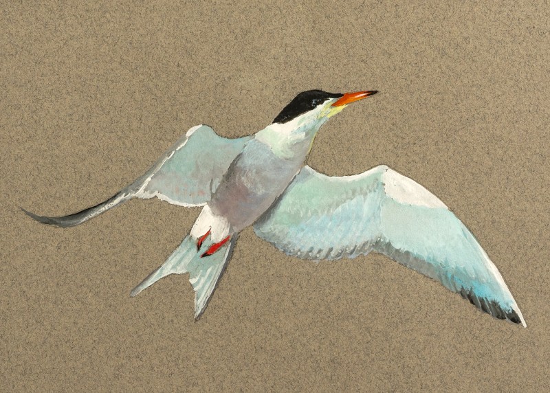 View of watercolor painting by Robert Barrett